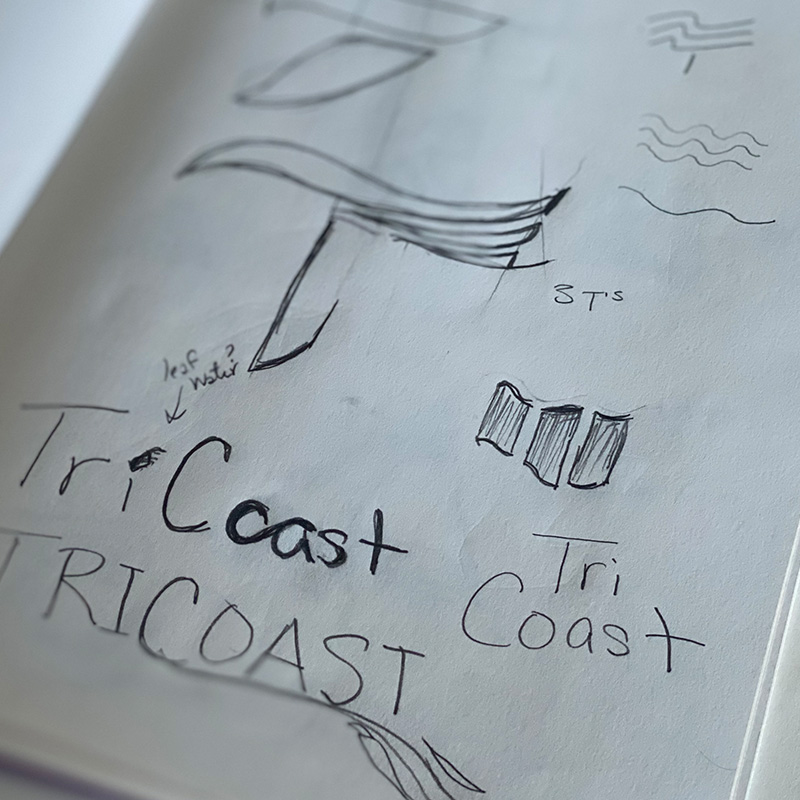 Tricoast Building Group Logo Concepts and Colors